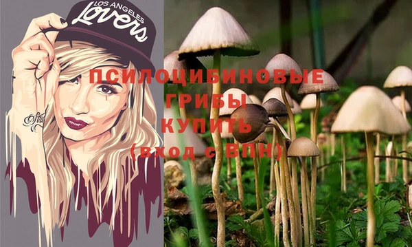 хмурый Бронницы