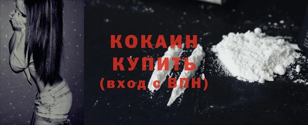 СК Бородино