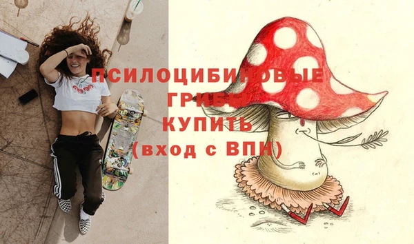 хмурый Бронницы